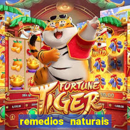 remedios naturais para diabetes